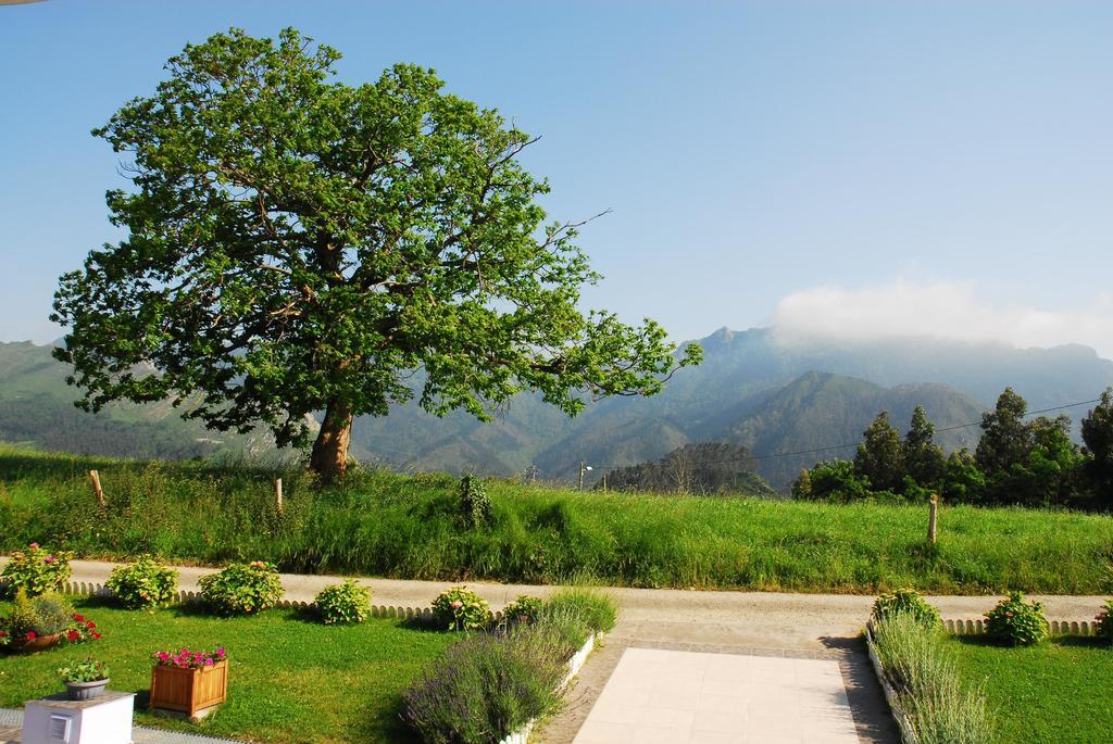 Hotel Mirador Del Sella Ribadesella Eksteriør bilde